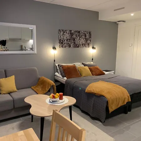 Centrum Studio 318 With Sauna Appartement *