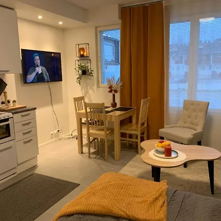 Centrum Studio 318 With Sauna Levi