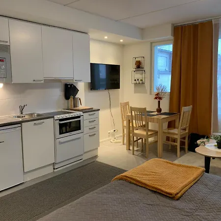 Centrum Studio 318 With Sauna * Levi